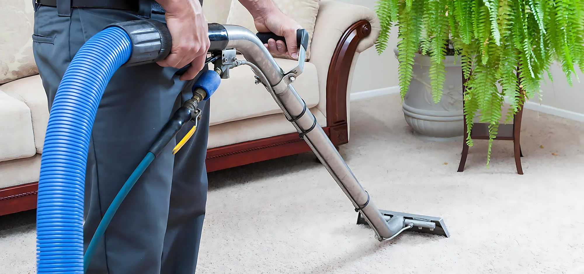 Specialized carpet cleaning services