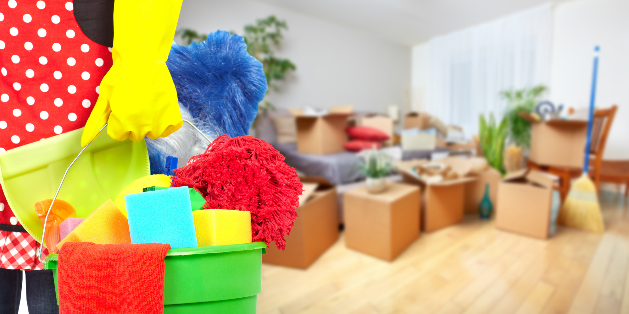 Miami area cleaning services